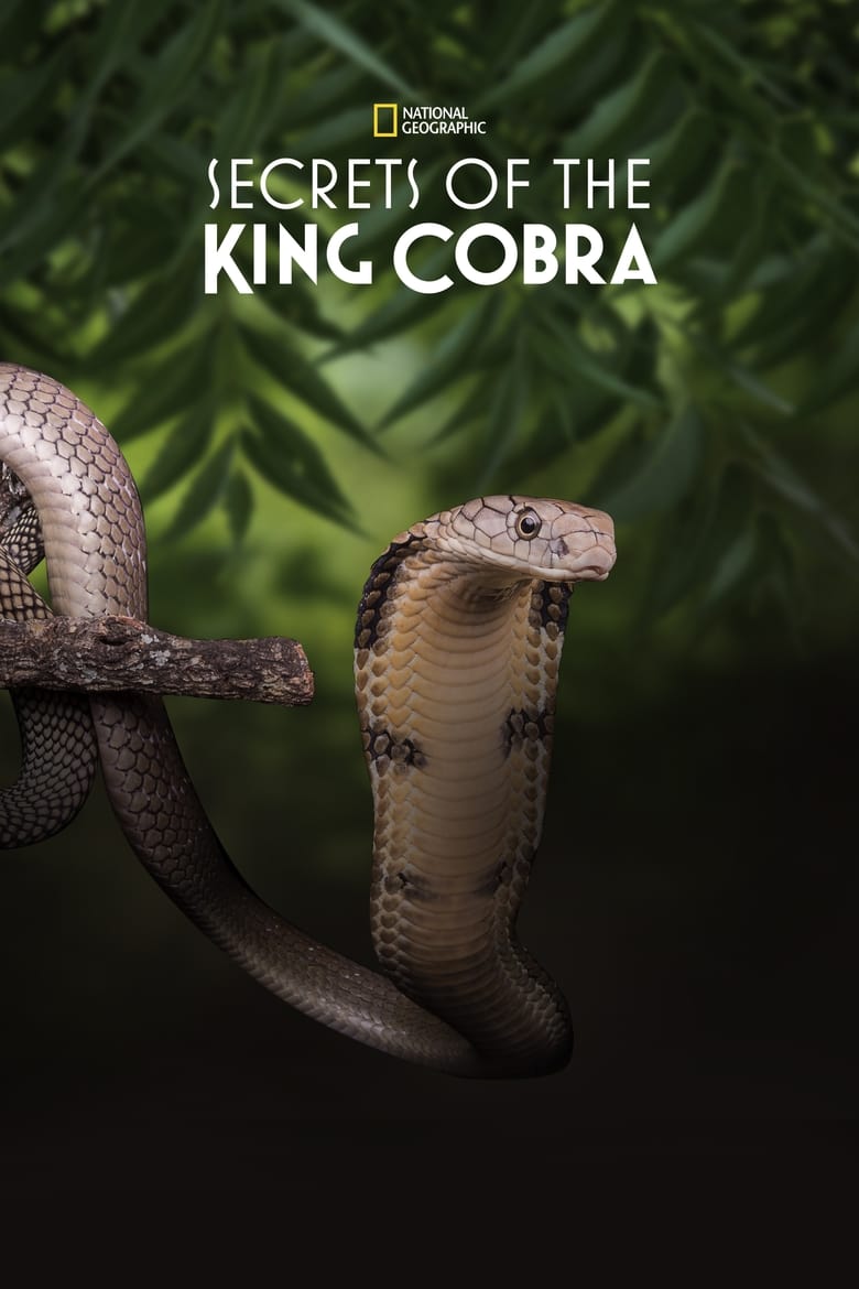 Poster of Secrets of the King Cobra