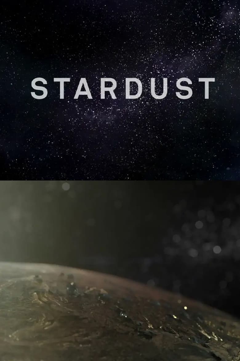 Poster of Stardust