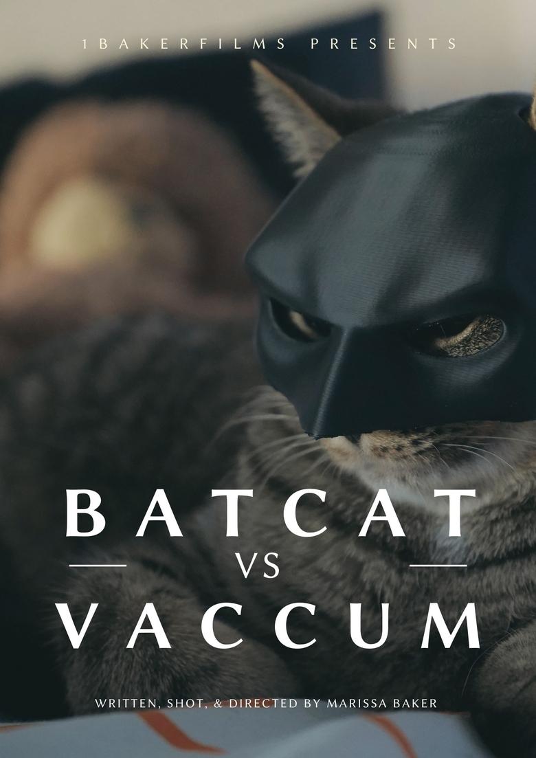 Poster of BatCat vs Vacuum