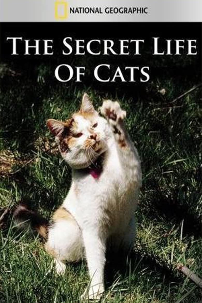 Poster of The Secret Life of Cats