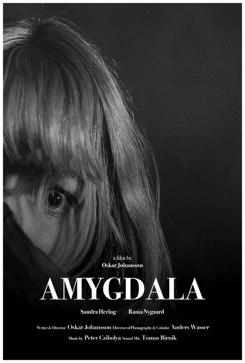 Poster of Amygdala