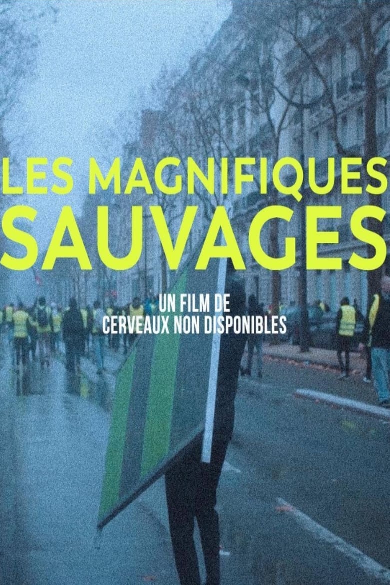 Poster of Les Magnifiques sauvages