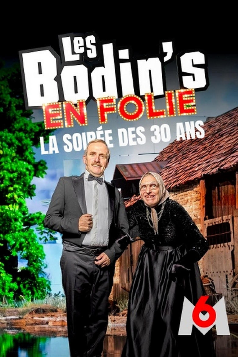 Poster of Les Bodin's en folie