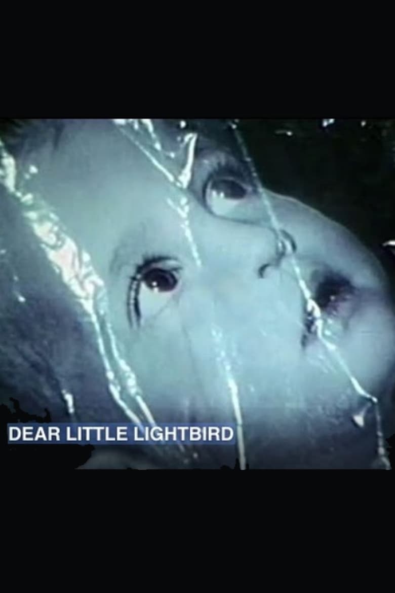 Poster of Dear Little Lightbird