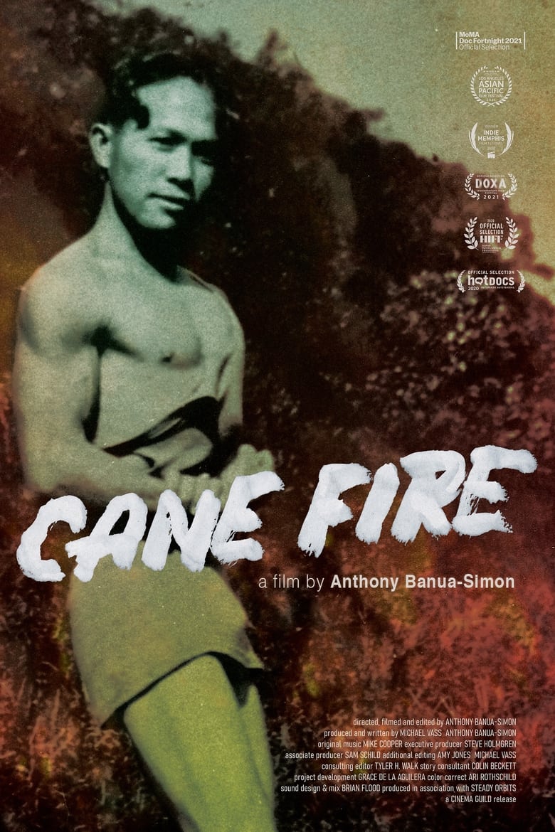 Poster of Cane Fire