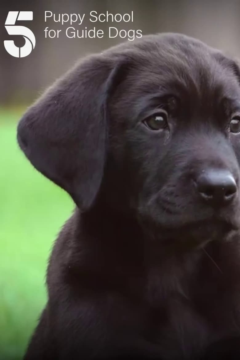 Poster of Puppy School for Guide Dogs