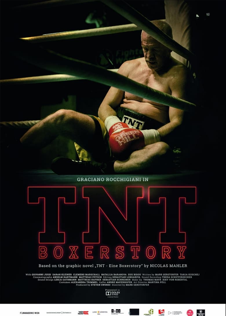 Poster of TNT Boxerstory