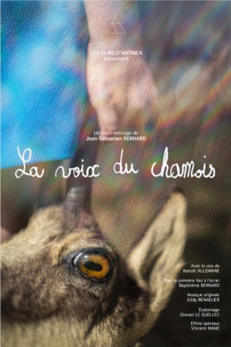 Poster of La voix du chamois