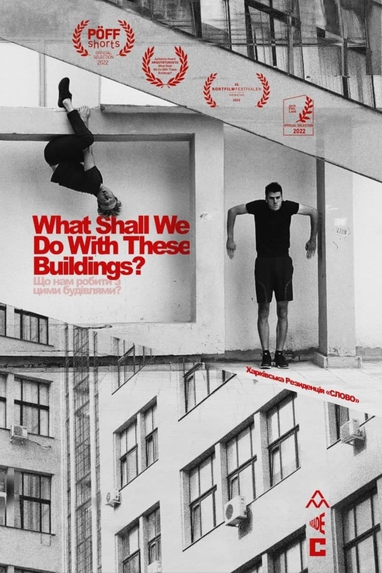 Poster of What Shall We Do With These Buildings?