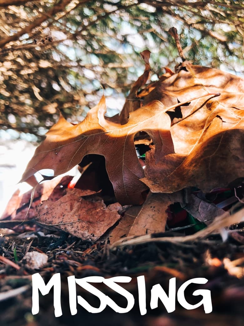 Poster of Missing