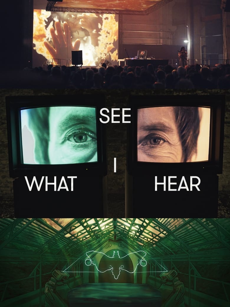 Poster of See What I Hear