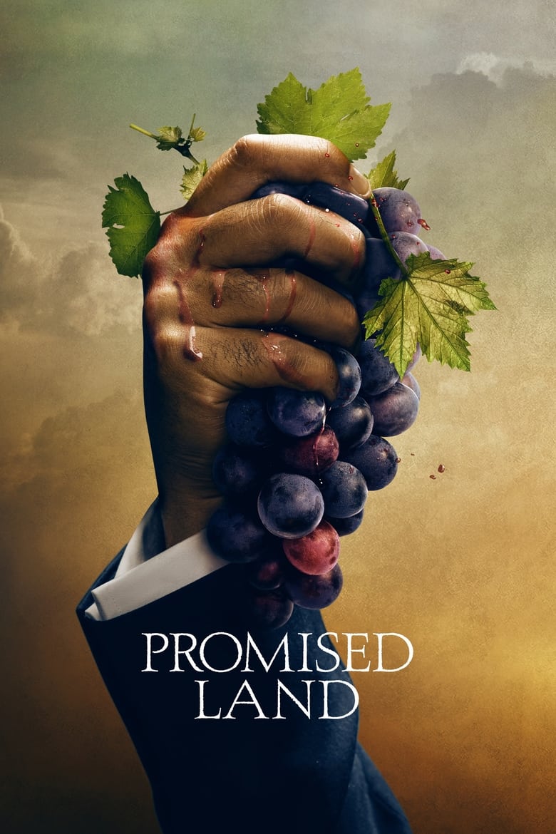 Poster of Promised Land