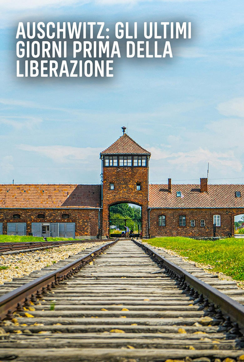 Poster of Auschwitz: Countdown to Liberation