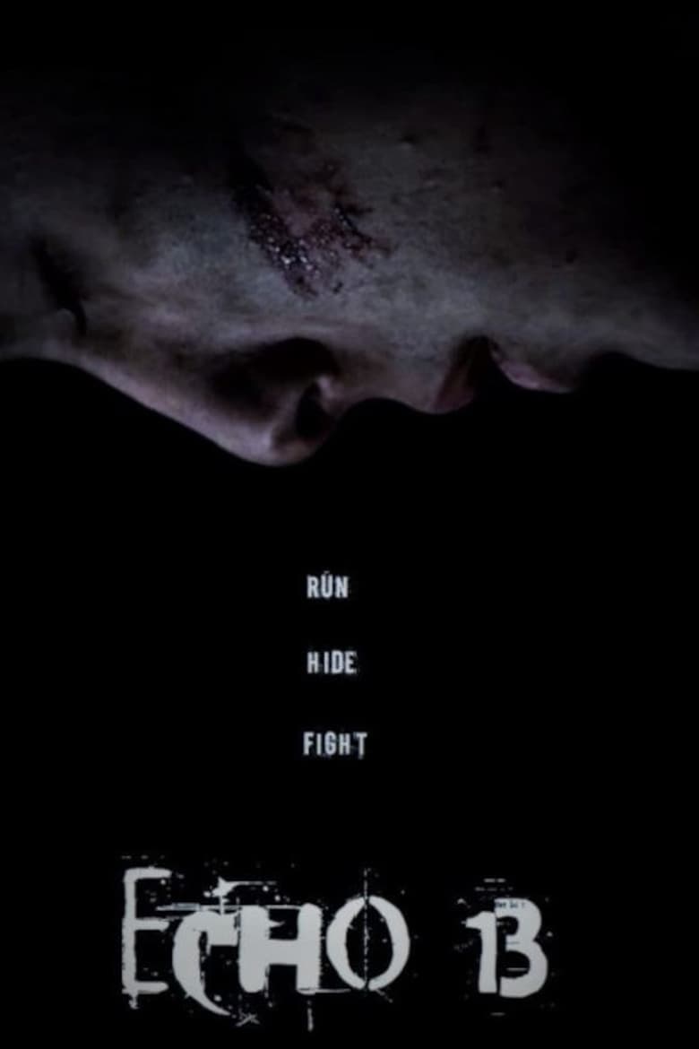 Poster of Echo 13