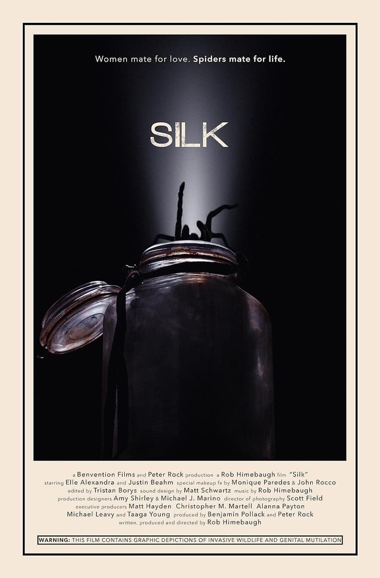 Poster of Silk