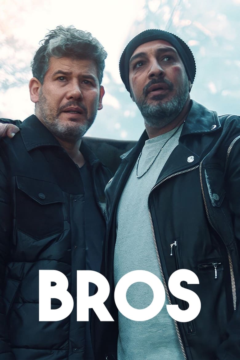 Poster of Bros