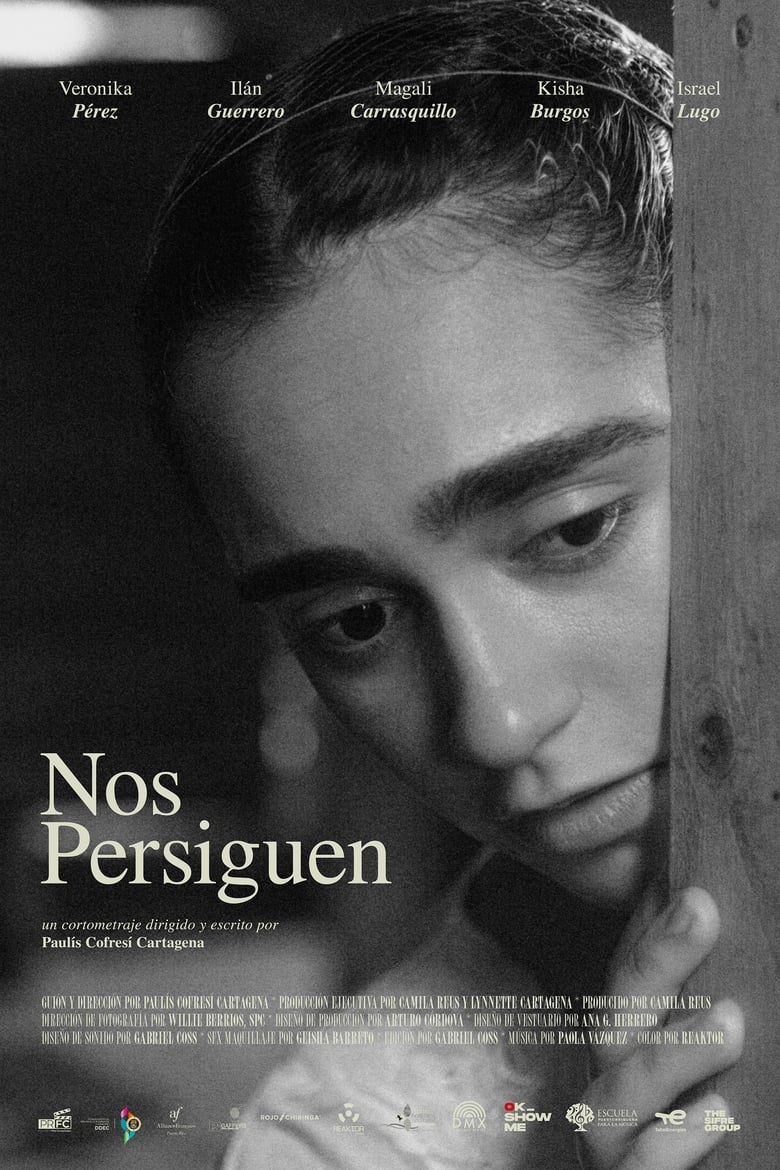 Poster of Nos Persiguen