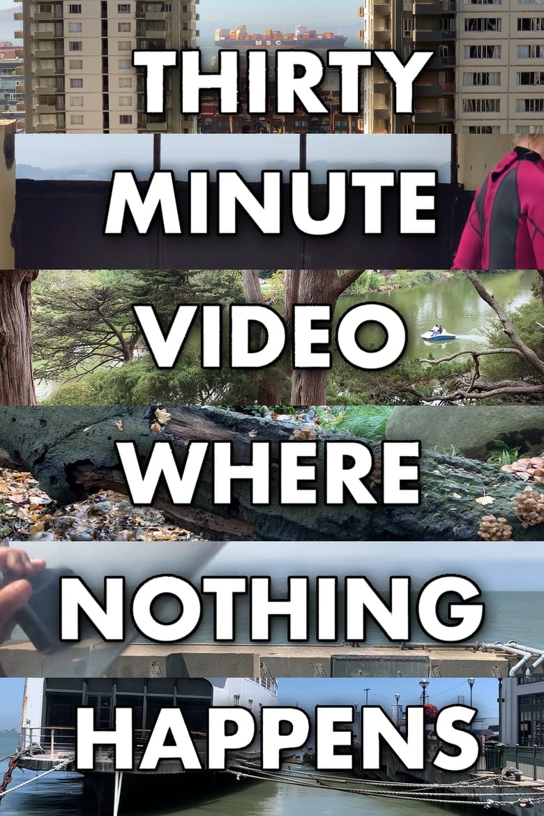 Poster of Thirty Minute Video Where Nothing Happens