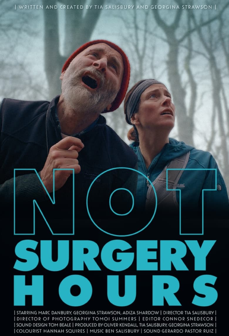 Poster of Not Surgery Hours