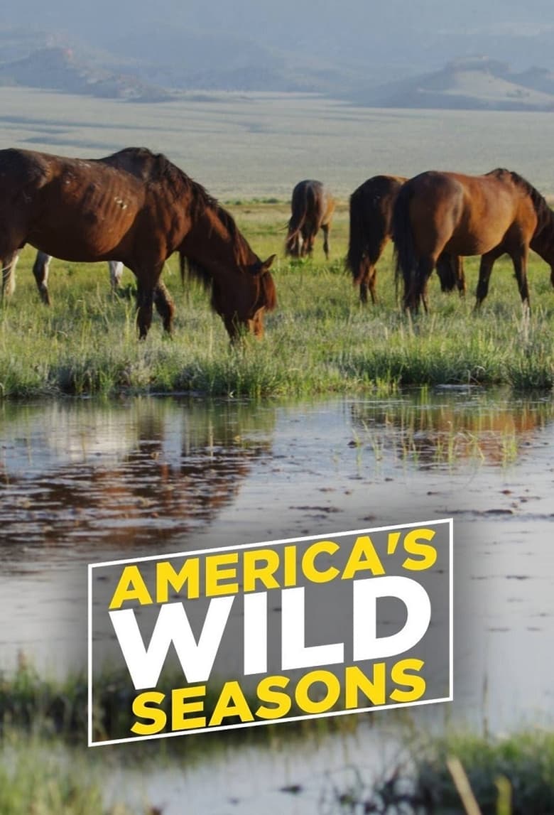 Poster of Episodes in America's Wild Seasons - Season 1 - Season 1