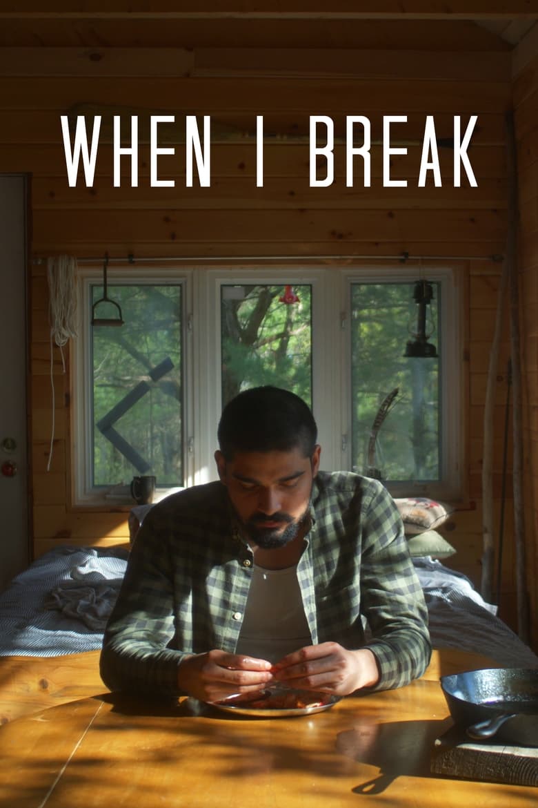 Poster of When I Break