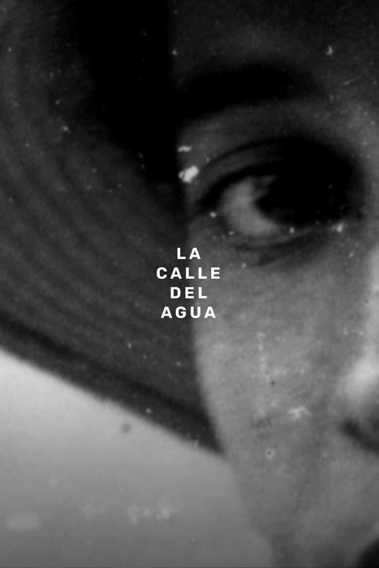 Poster of La calle del Agua