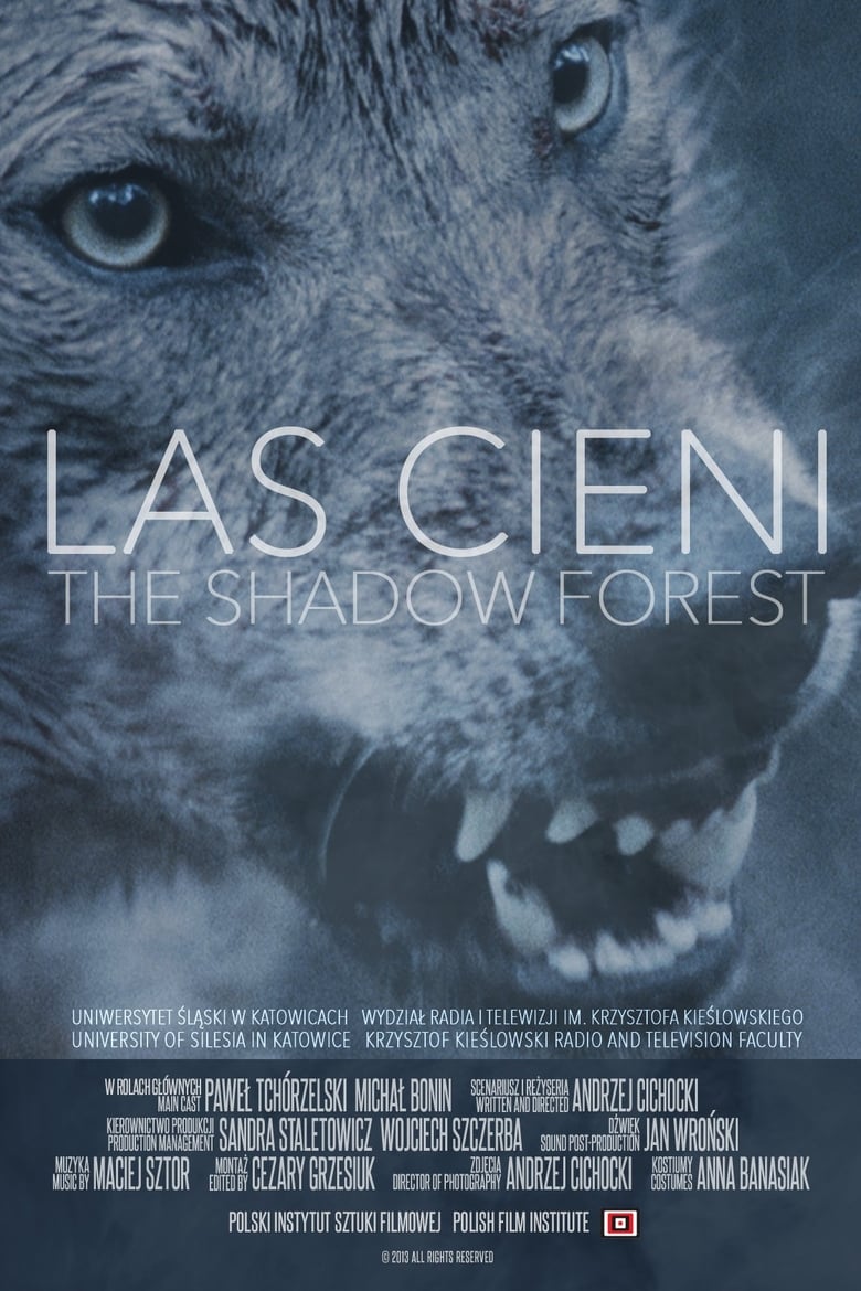 Poster of Las cieni