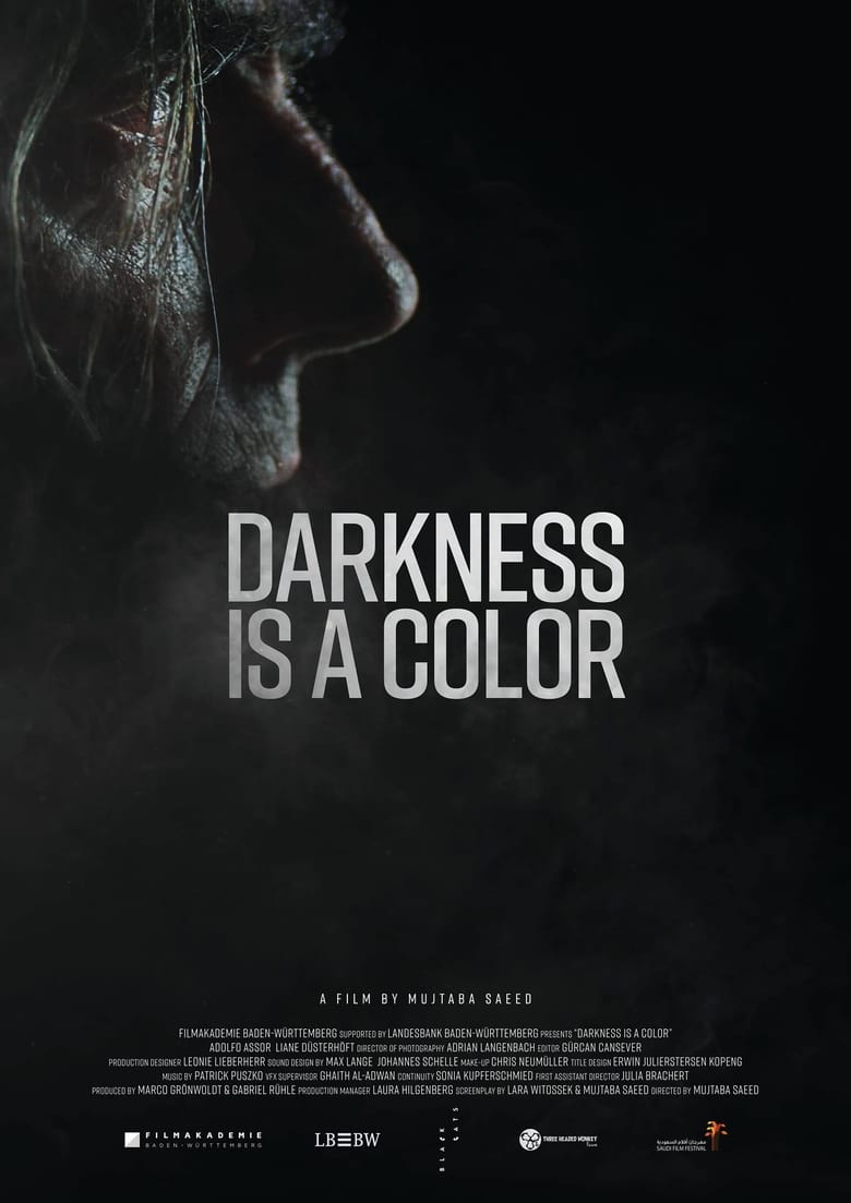 Poster of The Darkness Is A Color