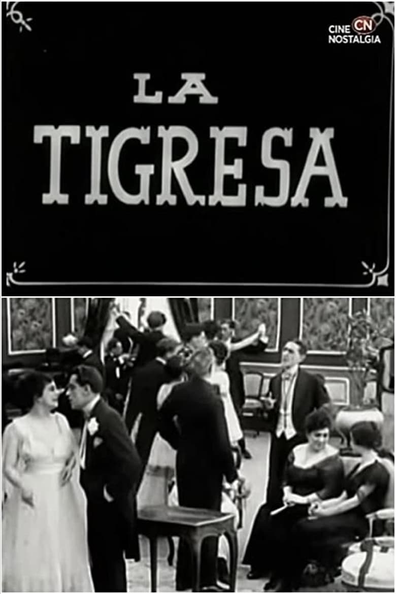 Poster of The Tigress