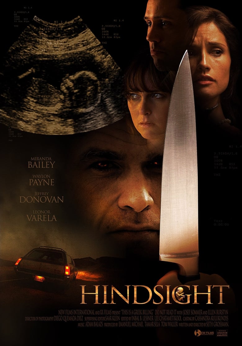 Poster of Hindsight