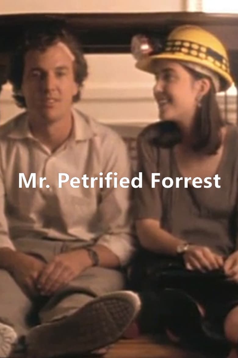 Poster of Mr. Petrified Forrest