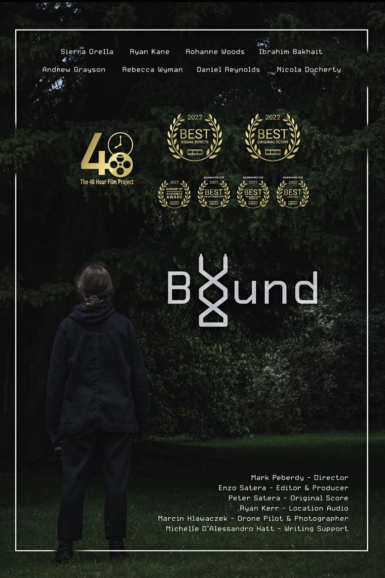 Poster of Bound