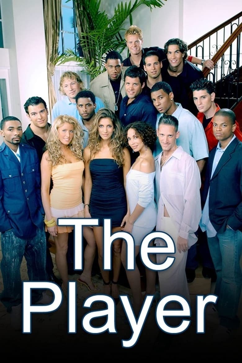 Poster of The Player