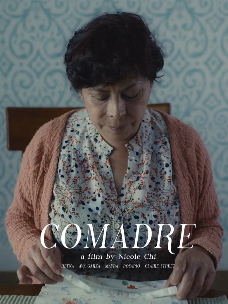 Poster of Comadre