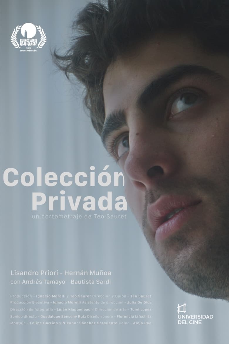 Poster of Colección Privada