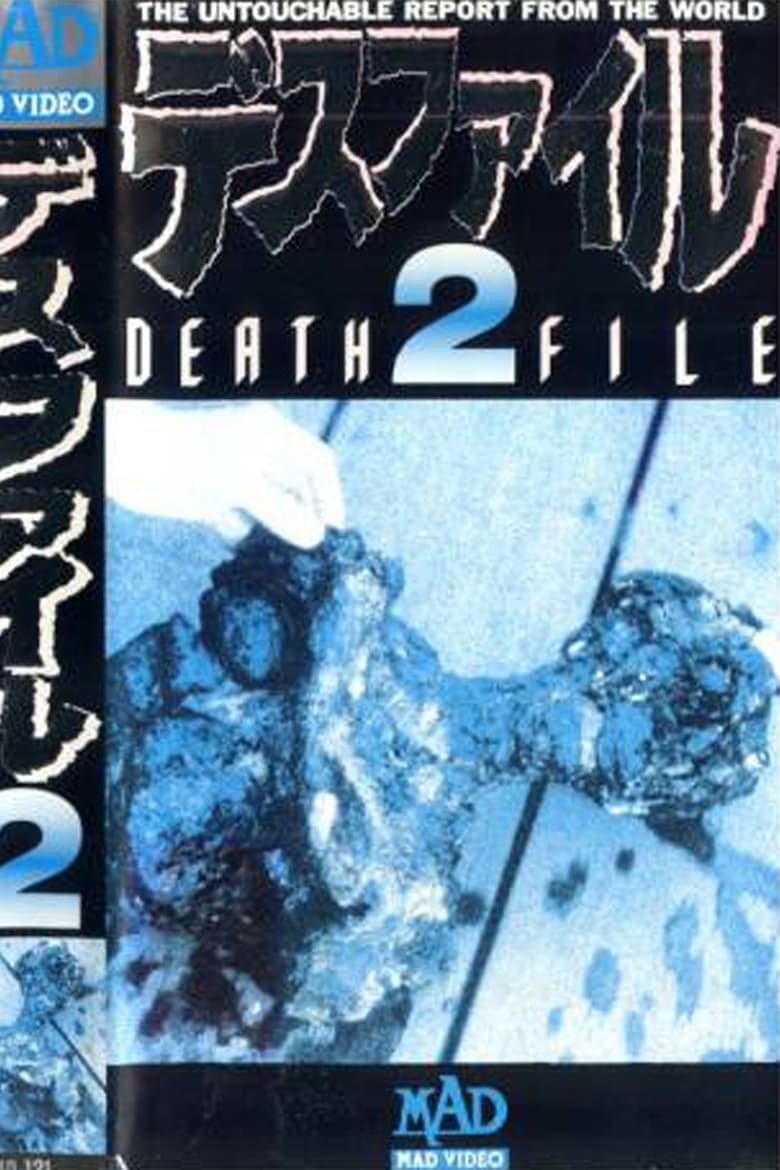 Poster of Death File 2