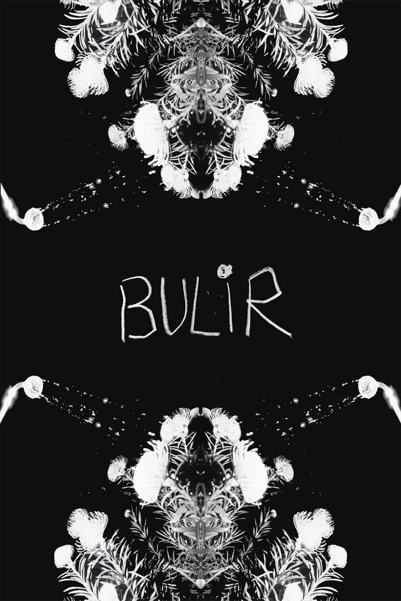 Poster of BULIR