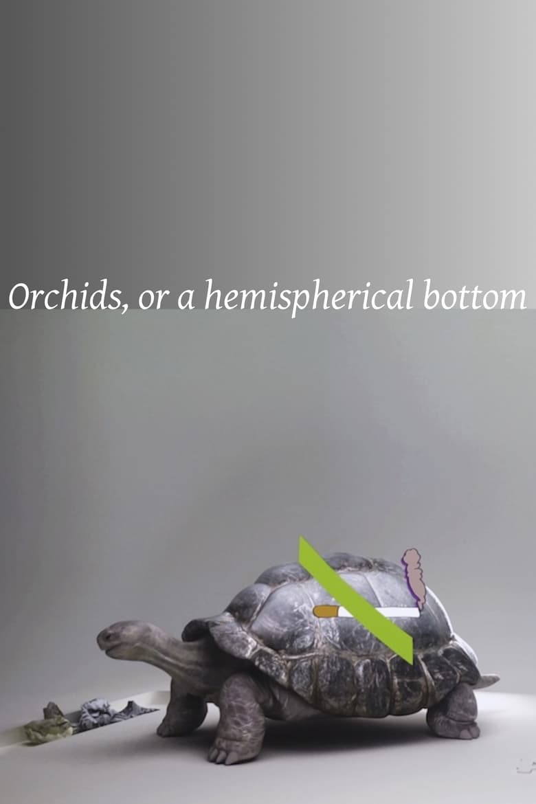 Poster of Orchids, or a hemispherical bottom