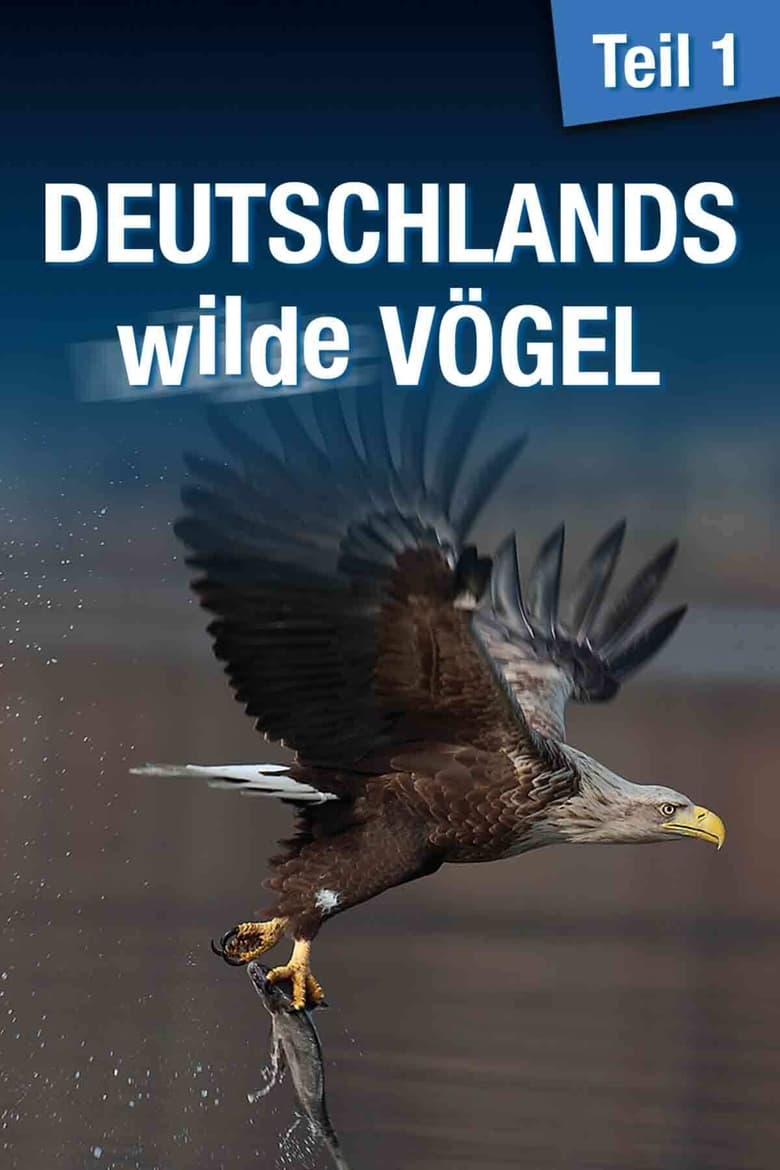 Poster of Deutschlands wilde Vögel