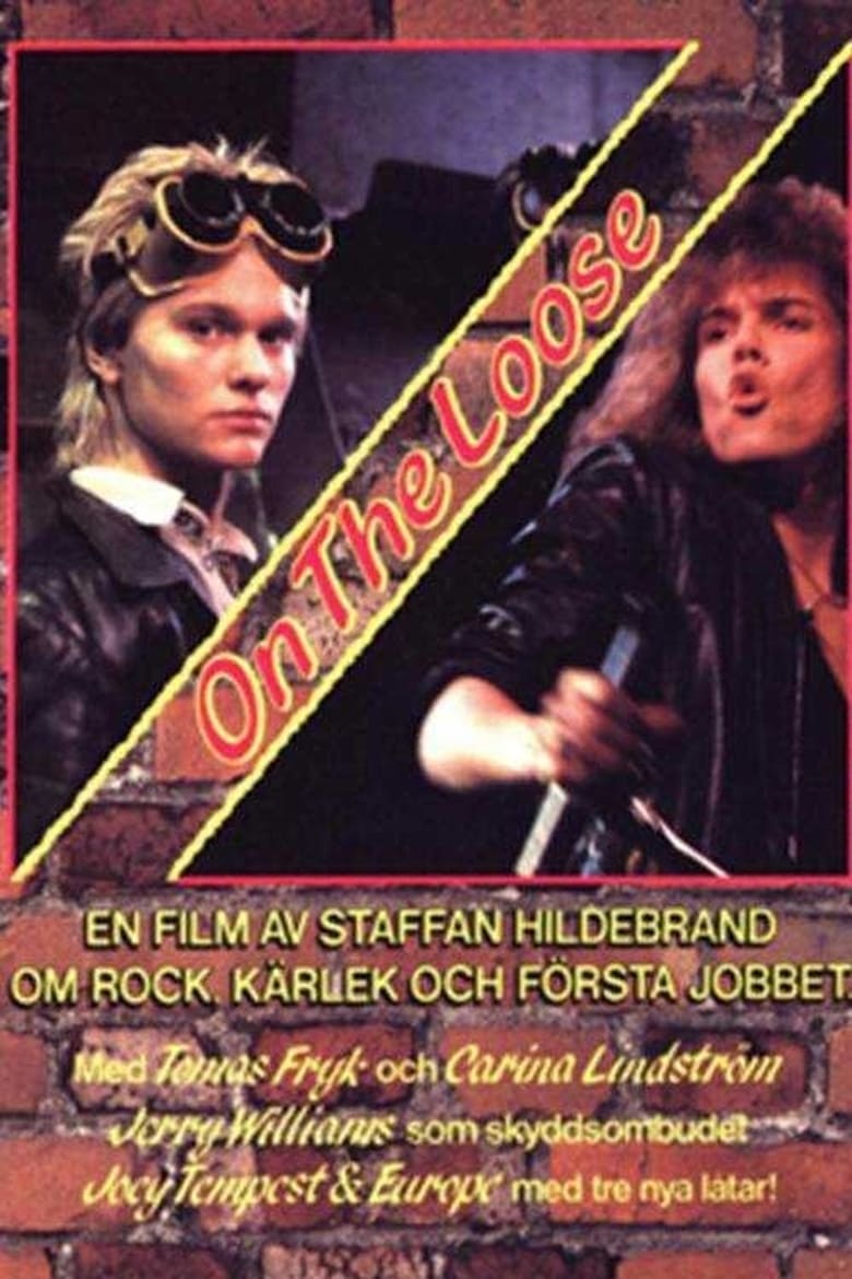 Poster of On the Loose