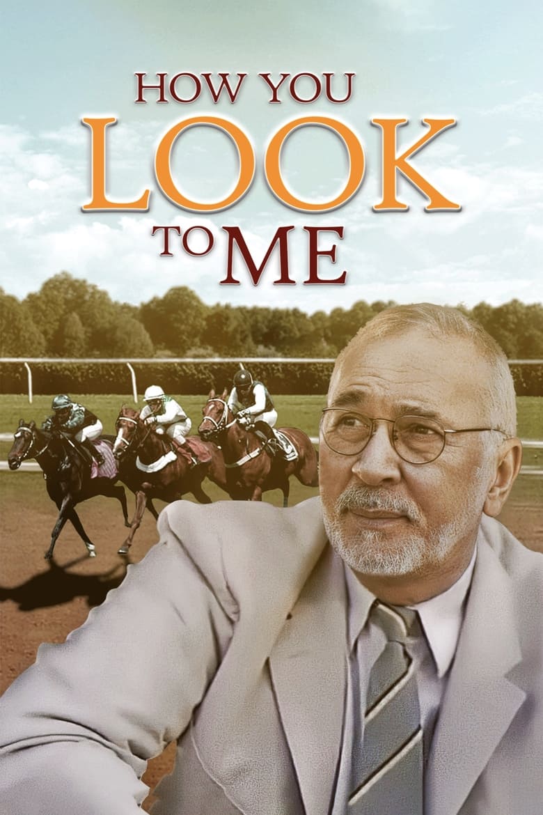 Poster of How You Look to Me