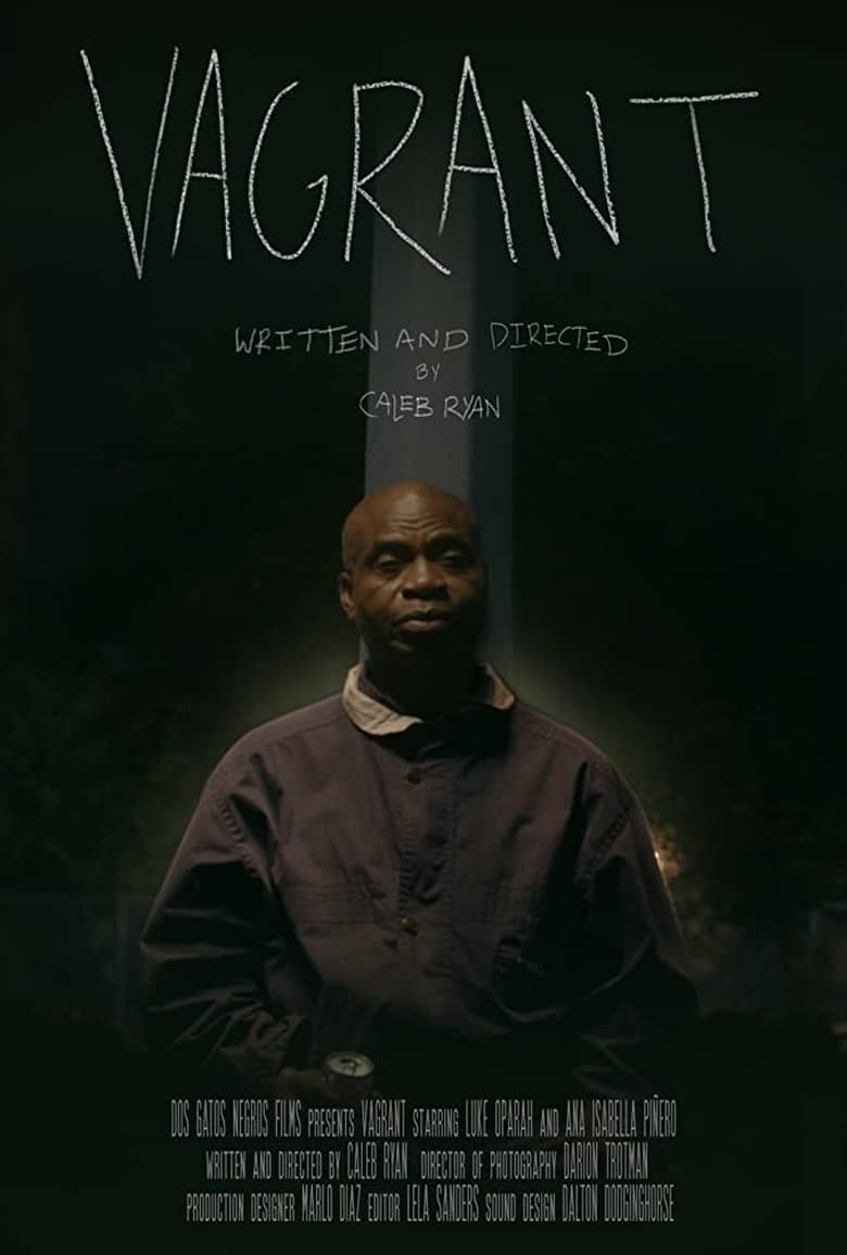 Poster of Vagrant