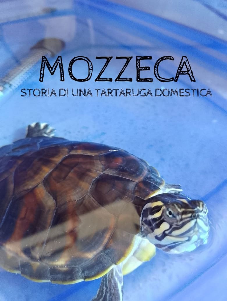 Poster of Mozzeca