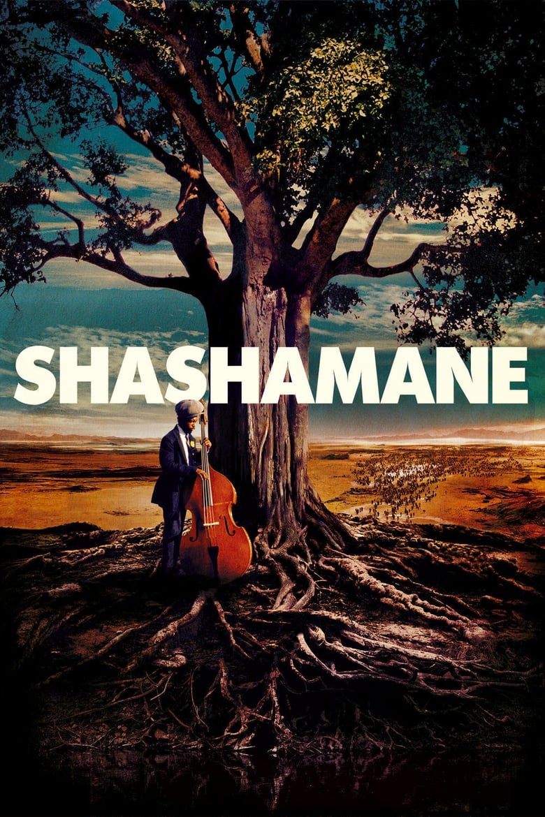 Poster of Shashamane