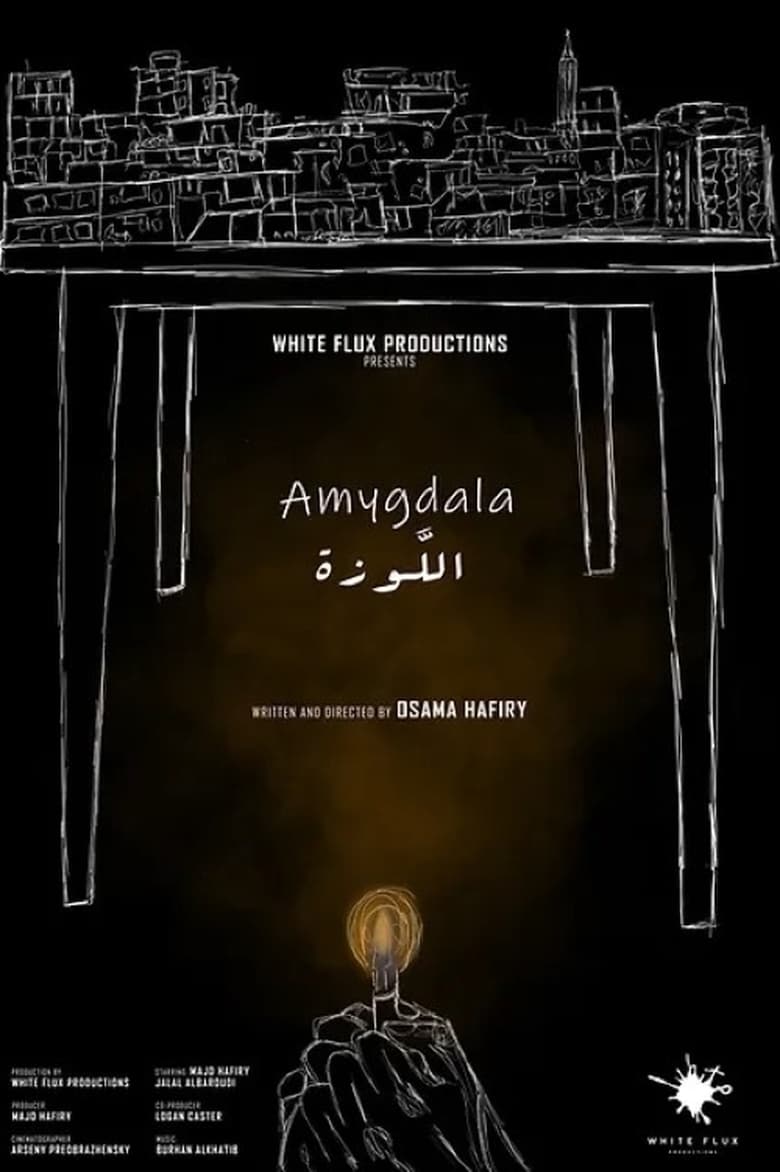 Poster of Amygdala