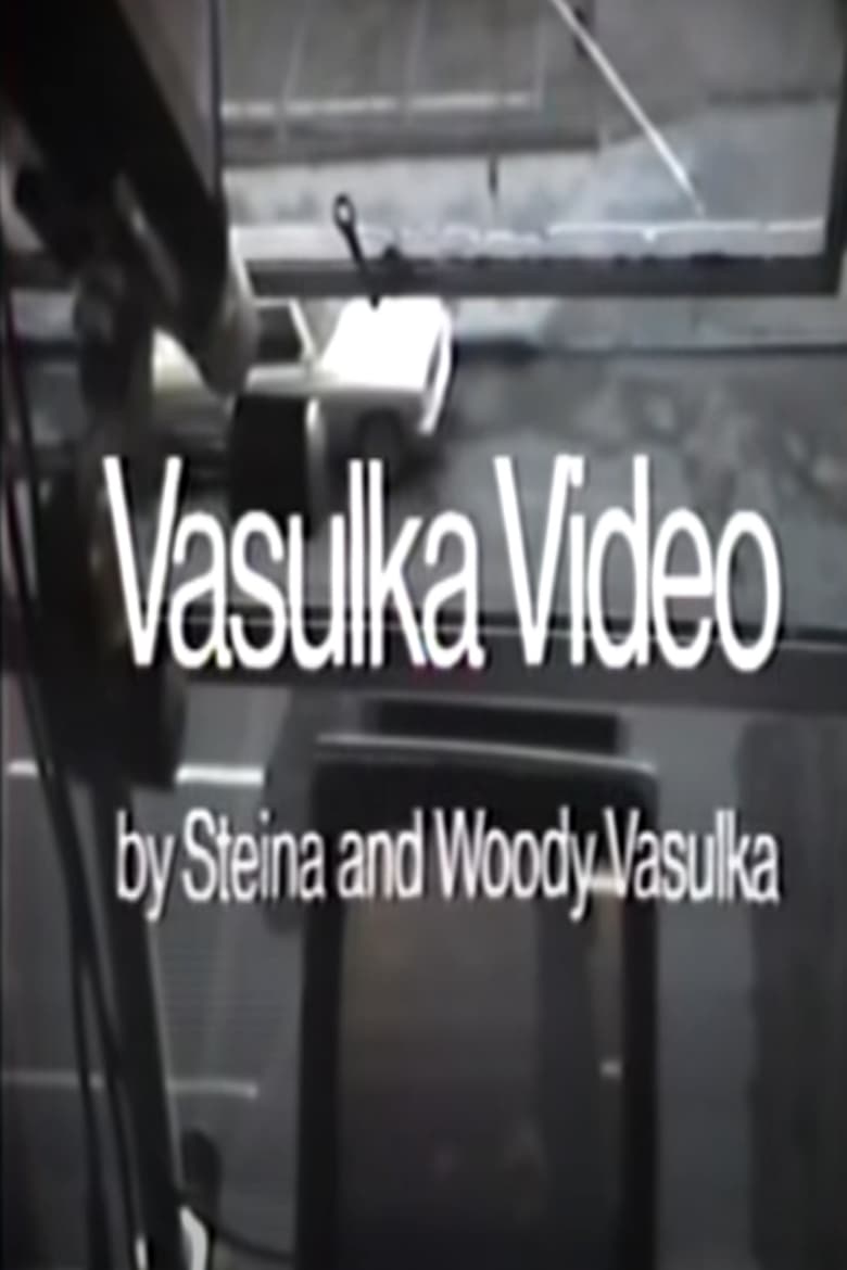 Poster of Vasulka Video