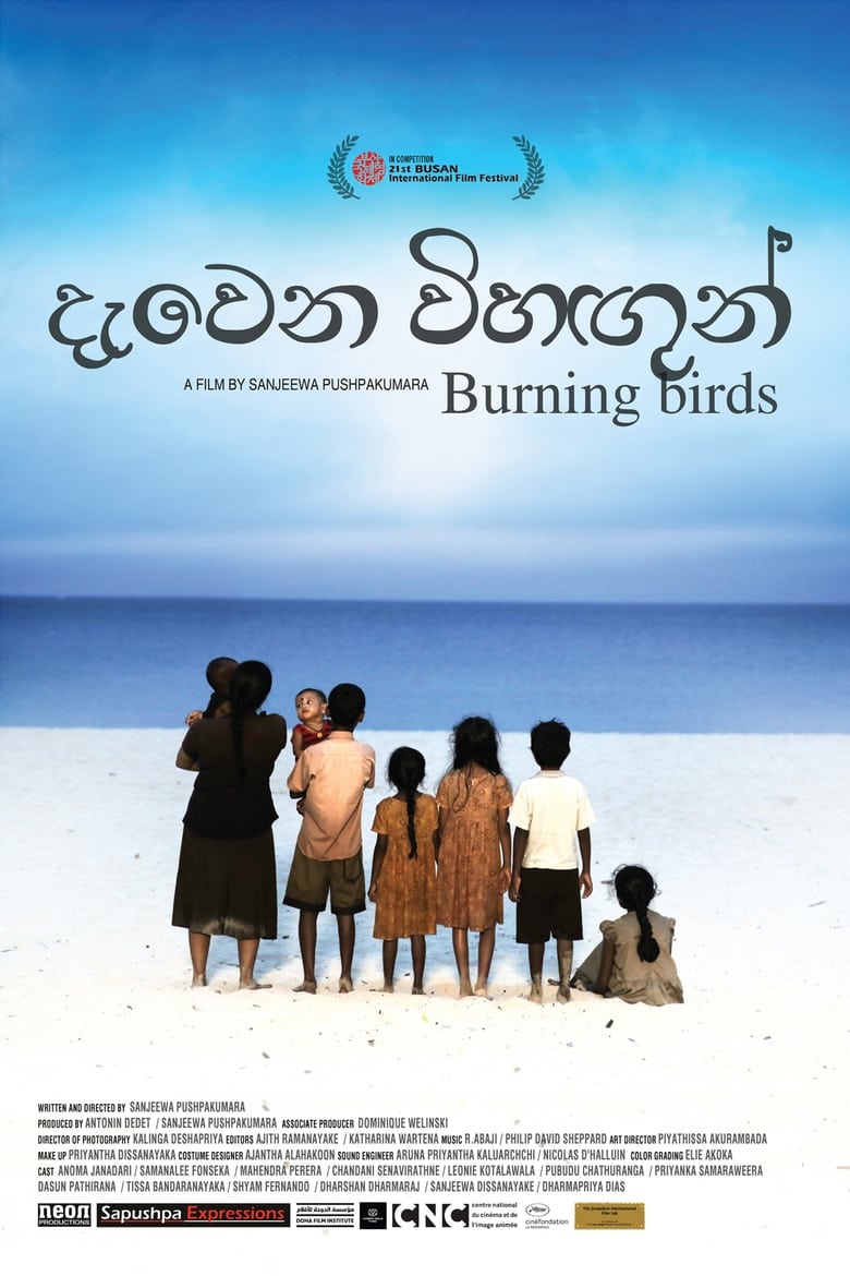 Poster of Burning Birds