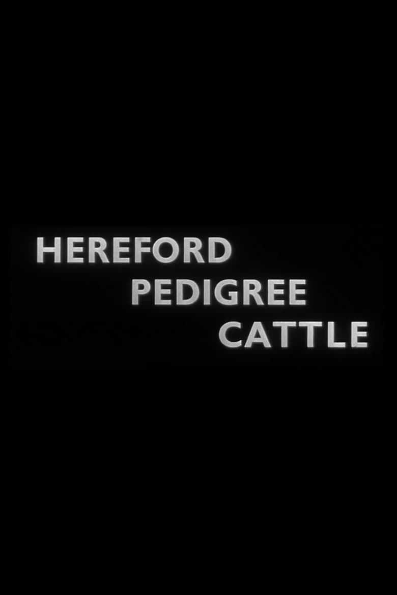 Poster of Hereford Pedigree Cattle