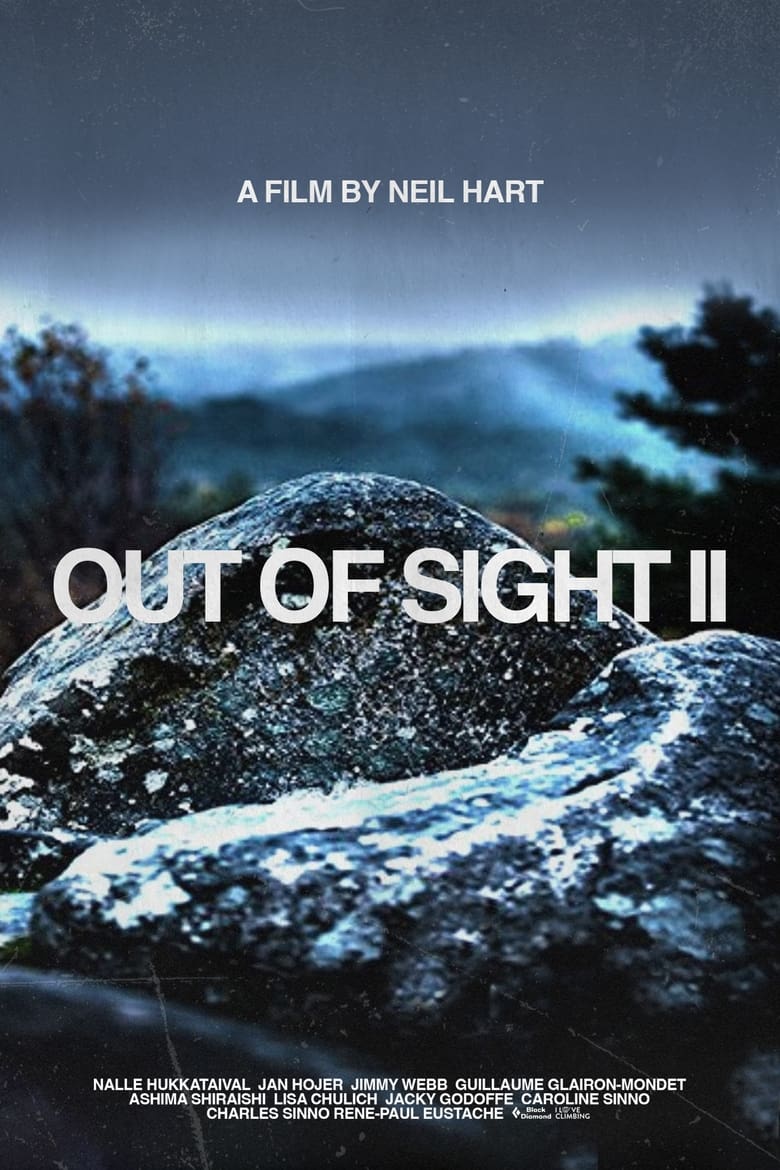 Poster of Out of Sight II