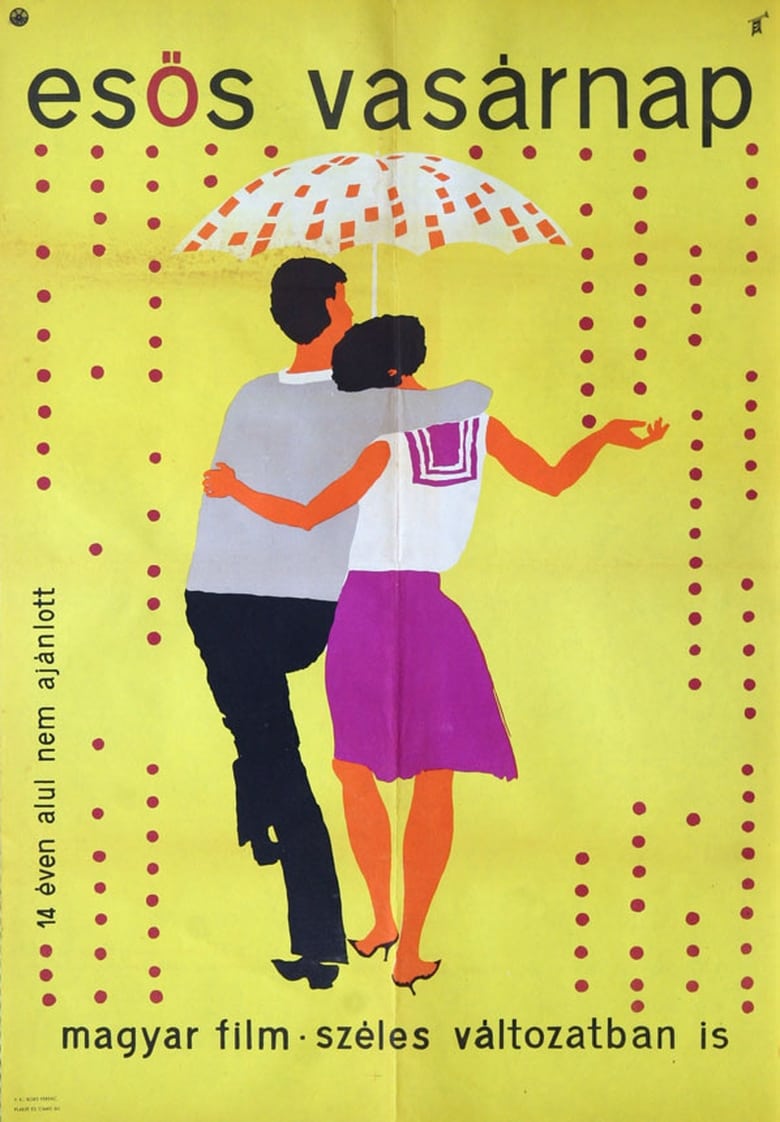 Poster of A Rainy Sunday